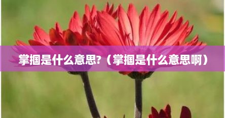 掌掴是什么意思?（掌掴是什么意思啊）