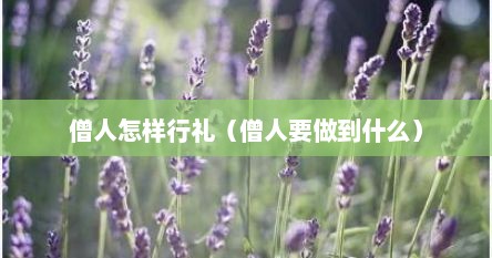 僧人怎样行礼（僧人要做到什么）
