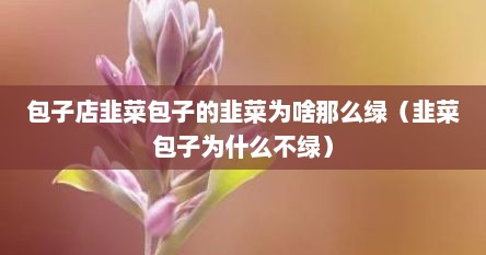 包子店韭菜包子的韭菜为啥那么绿（韭菜包子为什么不绿）