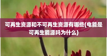 可再生资源和不可再生资源有哪些(电能是可再生能源吗为什么)