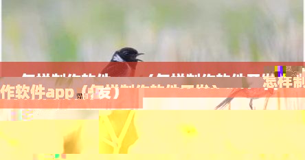 怎样制作软件app（怎样制作软件开发）