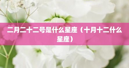 二月二十二号是什么星座（十月十二什么星座）
