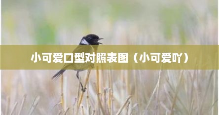 小可爱口型对照表图（小可爱吖）