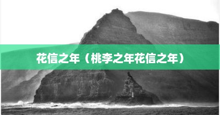 花信之年（桃李之年花信之年）