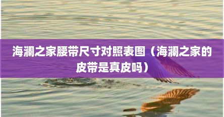 海澜之家腰带尺寸对照表图（海澜之家的皮带是真皮吗）