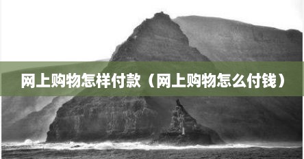 网上购物怎样付款（网上购物怎么付钱）