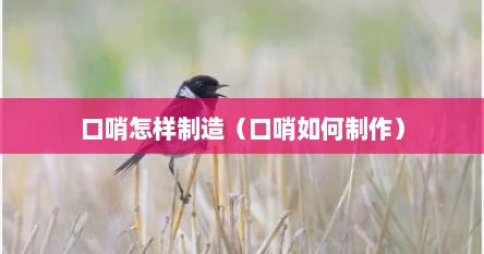 口哨怎样制造（口哨如何制作）