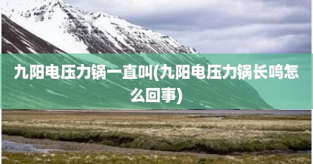 九阳电压力锅一直叫(九阳电压力锅长鸣怎么回事)
