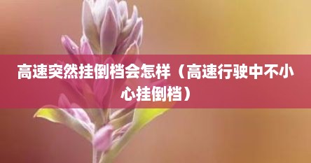 高速突然挂倒档会怎样（高速行驶中不小心挂倒档）