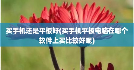 买手机还是平板好(买手机平板电脑在哪个软件上买比较好呢)