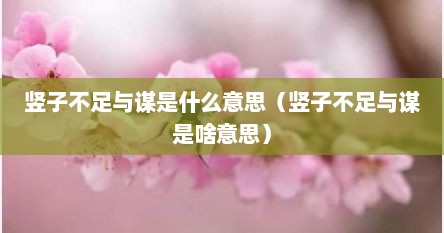 竖子不足与谋是什么意思（竖子不足与谋是啥意思）