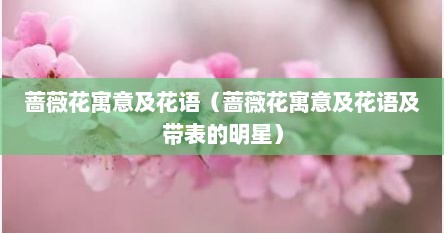 蔷薇花寓意及花语（蔷薇花寓意及花语及带表的明星）