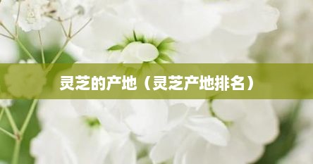 灵芝的产地（灵芝产地排名）