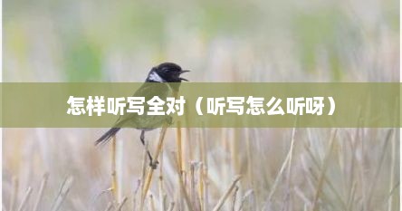怎样听写全对（听写怎么听呀）