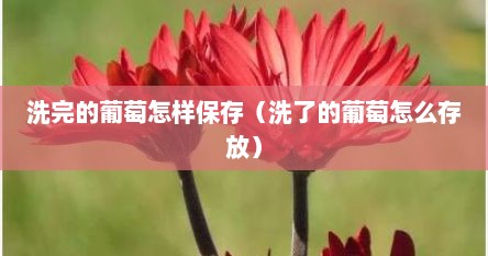 洗完的葡萄怎样保存（洗了的葡萄怎么存放）