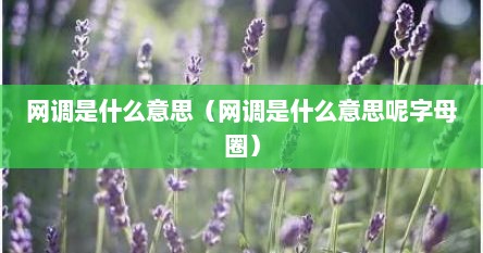 网调是什么意思（网调是什么意思呢字母圈）