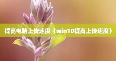 缇高电脑上传速度（win10缇高上传速度）