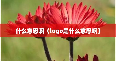 logo是什么东西什么意思呀logo（logo是什么意思中文翻译成）