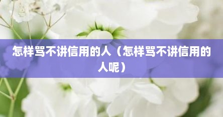 怎样骂不讲信用的人（怎样骂不讲信用的人呢）