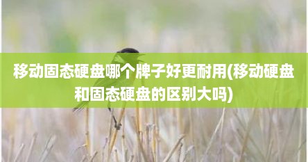 移动固态硬盘哪个牌子好更耐用(移动硬盘和固态硬盘的区别大吗)