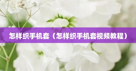 怎样织手机套（怎样织手机套视频教程）