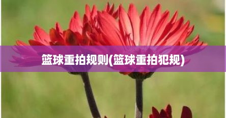 篮球重拍规则(篮球重拍犯规)