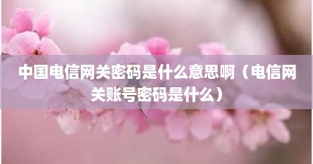中国电信网关密码是什么意思啊（电信网关账号密码是什么）