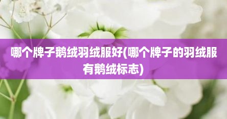 哪个牌子鹅绒羽绒服好(哪个牌子的羽绒服有鹅绒标志)
