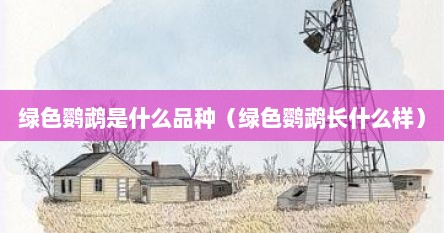 绿色鹦鹉是什么品种（绿色鹦鹉长什么样）