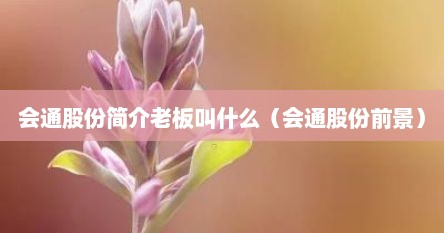 会通股份简介老板叫什么（会通股份前景）