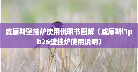 威廉斯壁挂炉使用说明书（威廉斯壁挂炉设置生活热水）