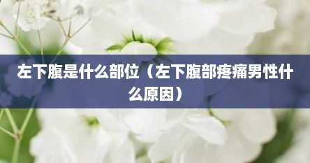 左下腹是什么部位（左下腹部疼痛男性什么原因）