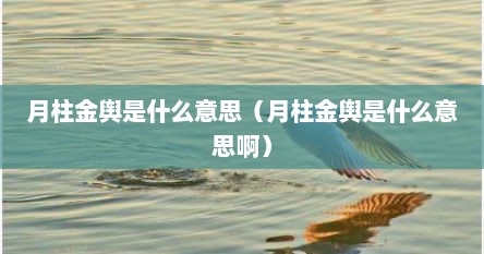 月柱金舆是什么意思（月柱金舆是什么意思啊）
