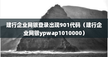 建行企业网银登录出现901代码（建行企业网银ypwap1010000）