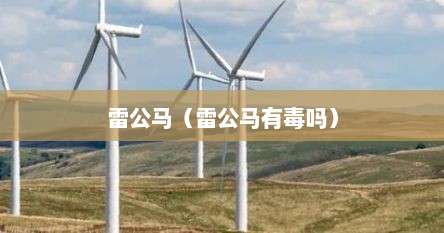 雷公马（雷公马有毒吗）