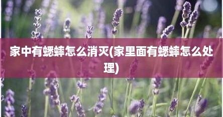 家中有蟋蟀怎么消灭(家里面有蟋蟀怎么处理)