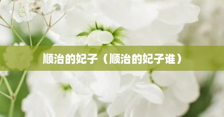 顺治的妃子（顺治的妃子谁）