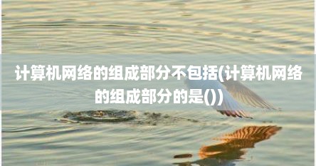 计算机网络的组成部分不包括(计算机网络的组成部分的是())
