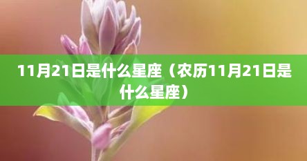 11月21日是什么星座（农历11月21日是什么星座）