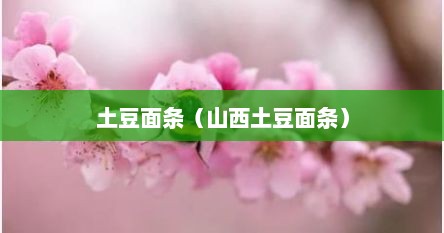 土豆面条（山西土豆面条）