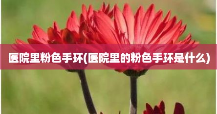 医院里粉色手环(医院里的粉色手环是什么)
