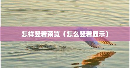 怎样竖着预览（怎么竖着显示）