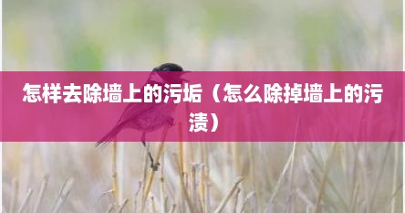怎样去除墙上的污垢（怎么除掉墙上的污渍）