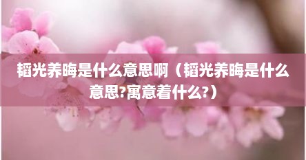 韬光养晦是什么意思啊（韬光养晦是什么意思?寓意着什么?）
