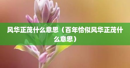 风华正茂什么意思（百年恰似风华正茂什么意思）