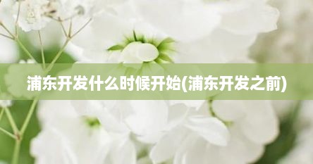 浦东开发什么时候开始(浦东开发之前)