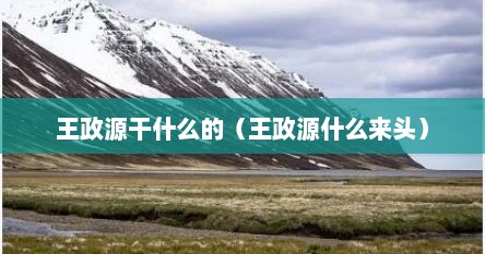 王政源干什么的（王政源什么来头）