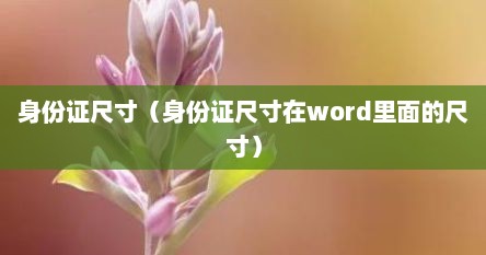 身份证尺寸（身份证尺寸在word里面的尺寸）