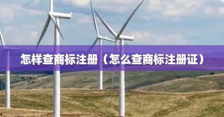 怎样查商标注册（怎么查商标注册证）