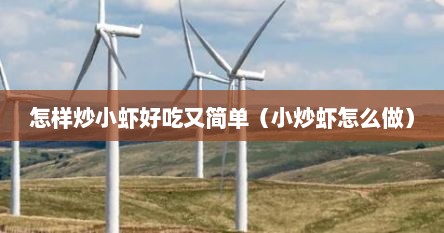 怎样炒小虾好吃又简单（小炒虾怎么做）
